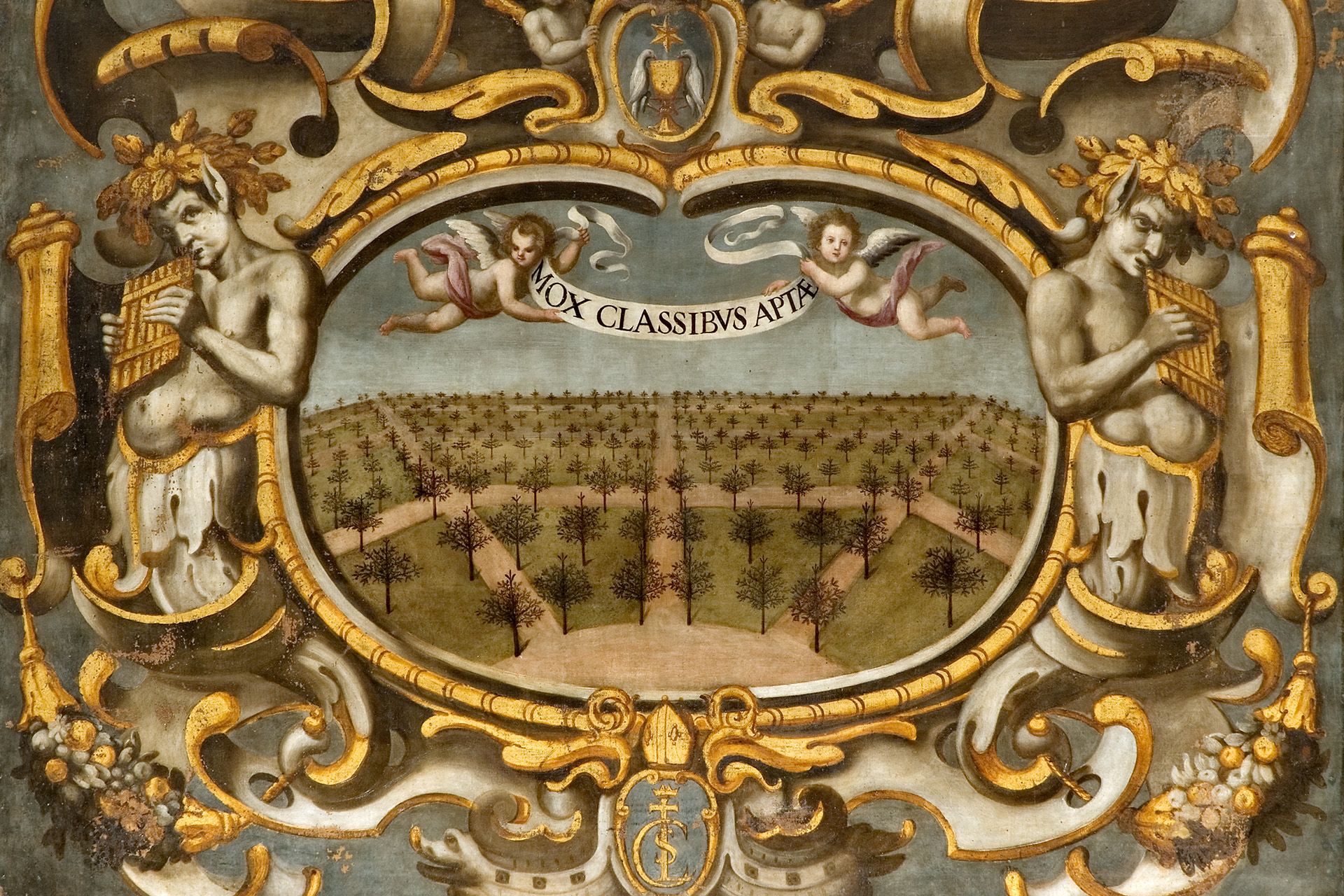 Collezioni museali