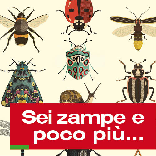 Sei zampe e poco più…