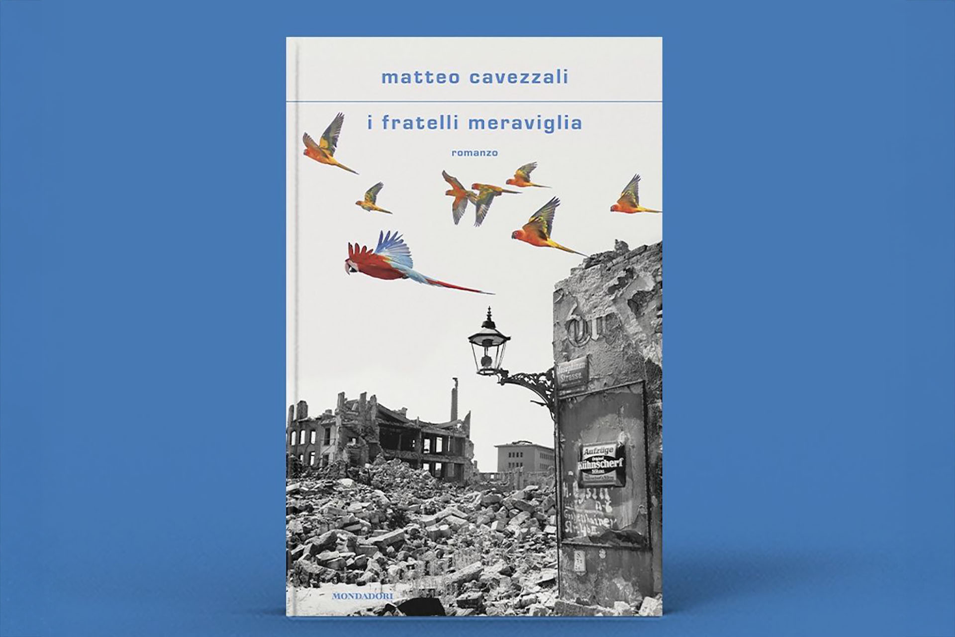 I fratelli meraviglia